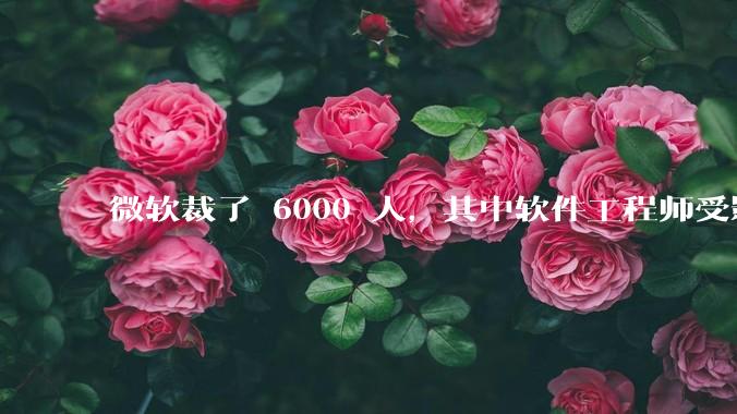 微软裁了 6000 人，其中软件工程师受影响最大，这会给整个软件行业的人才流动带来怎样的连锁反应？