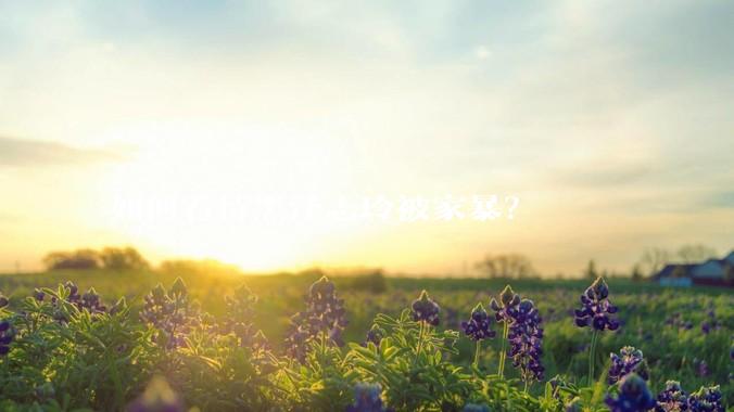 如何看待黑泽志玲被家暴？