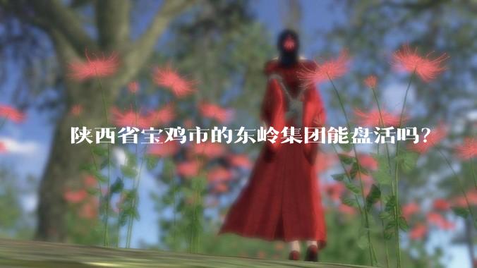 陕西省宝鸡市的东岭集团能盘活吗？
