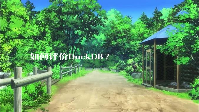 如何评价DuckDB?